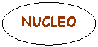 Oval: NUCLEO